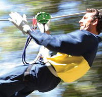 Adventure Parc - Accommodation Adelaide