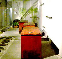 Koi - Accommodation Adelaide