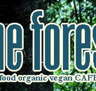 Forest Cafe  Bar - Accommodation Adelaide