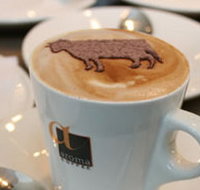 Brown Cow - Accommodation Adelaide