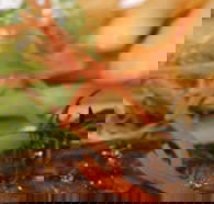 Hallam Hotel - Accommodation Adelaide