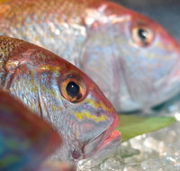 Coro Hotel - Lure Seafood Restaurant - Accommodation Adelaide