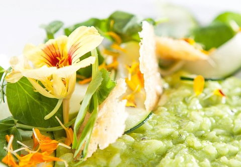 The Villager - Accommodation Adelaide 2