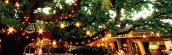 The Oaks - Accommodation Adelaide 0