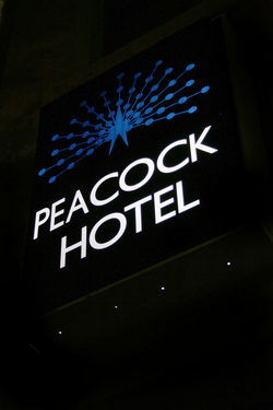 Peacock Inn Hotel - Accommodation Adelaide 0