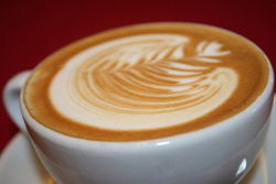  Accommodation Adelaide