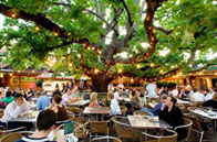 The Oaks - Accommodation Adelaide 2