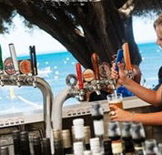 Quokka Arms - Accommodation Adelaide