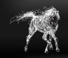 The White Horse - Accommodation Adelaide 0
