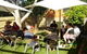 American Hotel Creswick - thumb 1