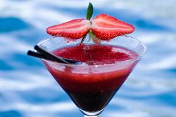 Blue Mango Wine Bar - Accommodation Adelaide 1