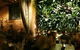 The Winery By Gazebo - thumb 2