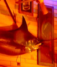 Joes Fish Shack - Accommodation Adelaide 3