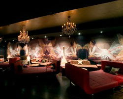 Dome Bar - Accommodation Adelaide 3