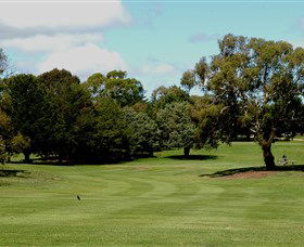 Cooma Golf Club - Accommodation Adelaide 1