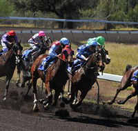 Alice Springs Turf Club - Accommodation Adelaide
