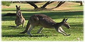 Rockingham Golf Club - Accommodation Adelaide 2