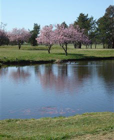 RMC Golf Club - Accommodation Adelaide 0