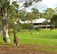 Pambula Merimbula Golf Club - Accommodation Adelaide