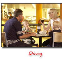 Steelers Club - Accommodation Adelaide