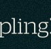 Dumpling Republic - Accommodation Adelaide