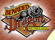 Tamborine QLD Accommodation Adelaide