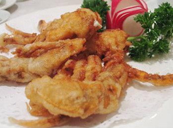 Mathew's Peacock Gardens - Accommodation Adelaide 0