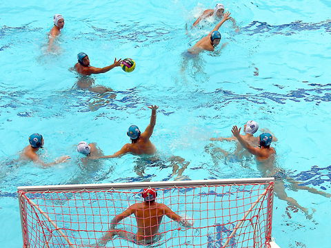 Australian Youth Water Polo Championships - Accommodation Adelaide 0