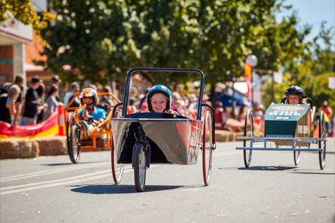 Australian Billy Cart Championships - Accommodation Adelaide 2