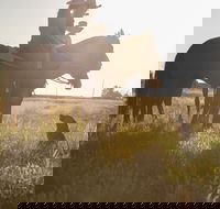 Balonne Cutting Horse Futurity - Accommodation Adelaide