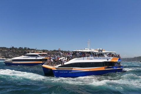 Boxing Day Cruise - Sydney To Hobart Yacht Race - Accommodation Adelaide 1