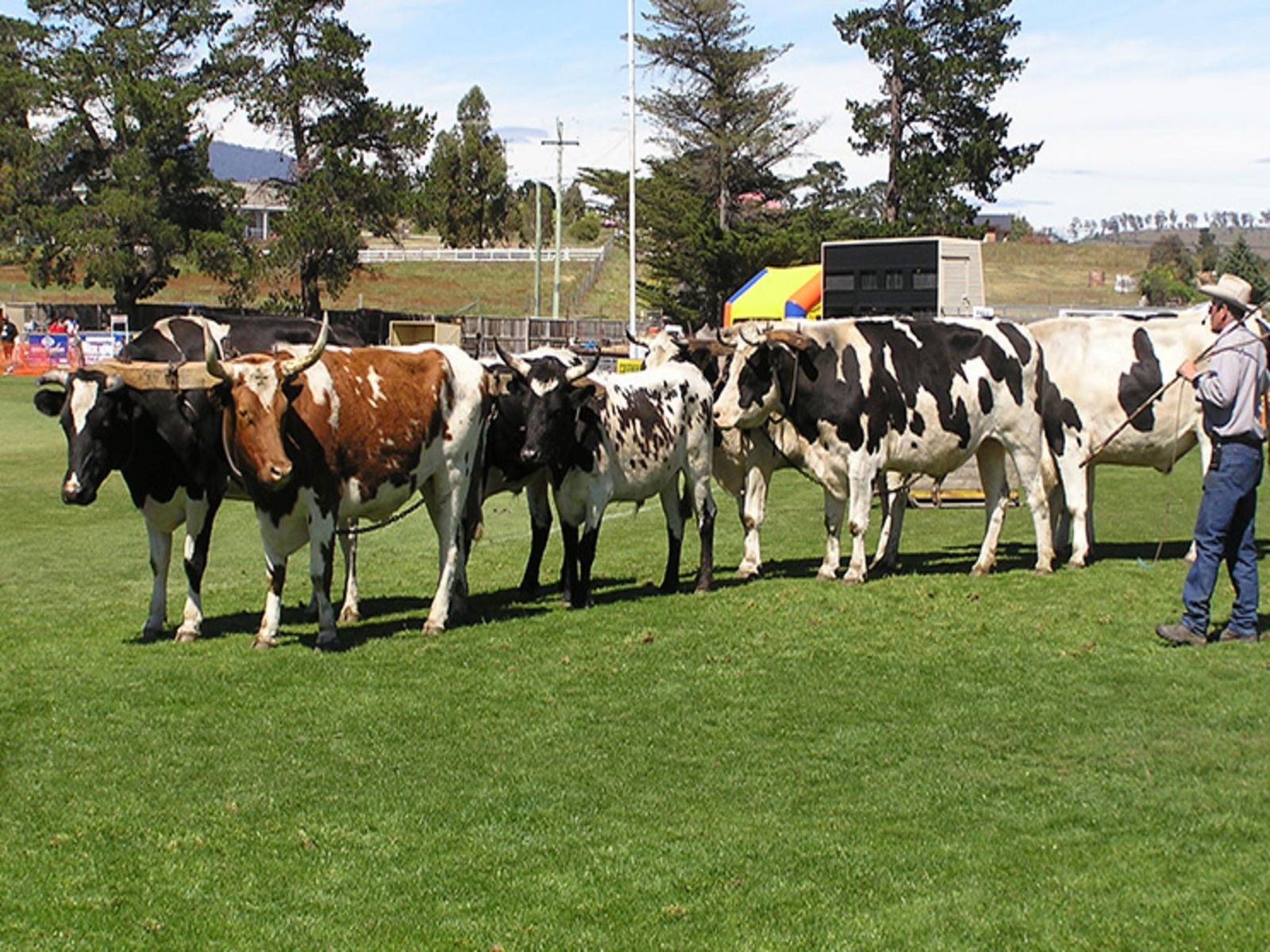 Brighton TAS Accommodation Adelaide