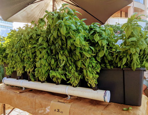 Cotters Market Townsville - Accommodation Adelaide 1