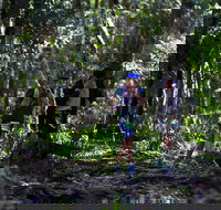 Elephant Trail Race - Accommodation Adelaide