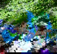 Family Fun Carnivale - Accommodation Adelaide