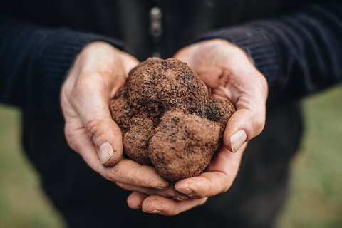 Feast And Forage - Craig's Royal Hotel - Accommodation Adelaide 0