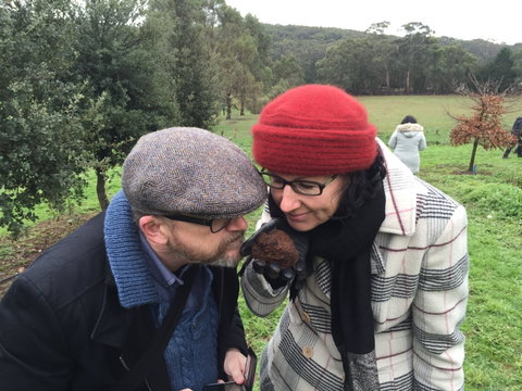 Feast And Forage - Craig's Royal Hotel - Accommodation Adelaide 1