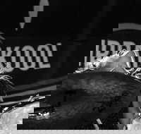 Girrakool Blues Festival and Barbecue - Accommodation Adelaide