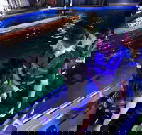 Glass Bottom Boat Tour