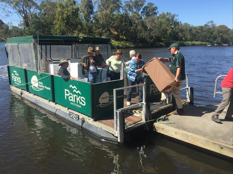 Herring Island Summer Arts Festival - Accommodation Adelaide 1