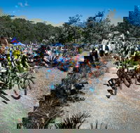 JetBlack Wild Wombat MTB Challenge - Accommodation Adelaide