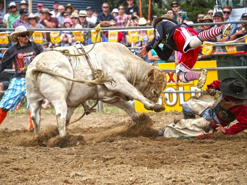 Jindabyne's Man From Snowy River Rodeo - Accommodation Adelaide 0