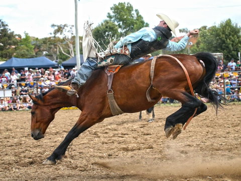 Jindabyne's Man From Snowy River Rodeo - Accommodation Adelaide 1