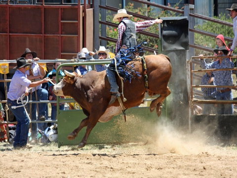 Jindabyne's Man From Snowy River Rodeo - Accommodation Adelaide 2