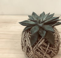 Kokedama Workshop - Accommodation Adelaide