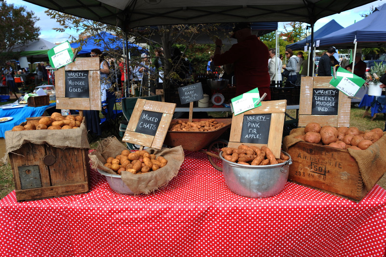 Mudgee NSW Accommodation Adelaide