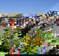 Maclean Community Monthly Markets - Accommodation Adelaide