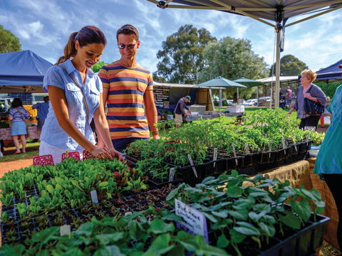 Margaret River Farmers Market - Accommodation Adelaide 1