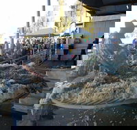 Narrabri Show - Accommodation Adelaide