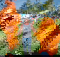 Outback Festival - Accommodation Adelaide